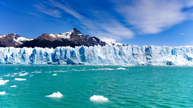 CALAFATE 