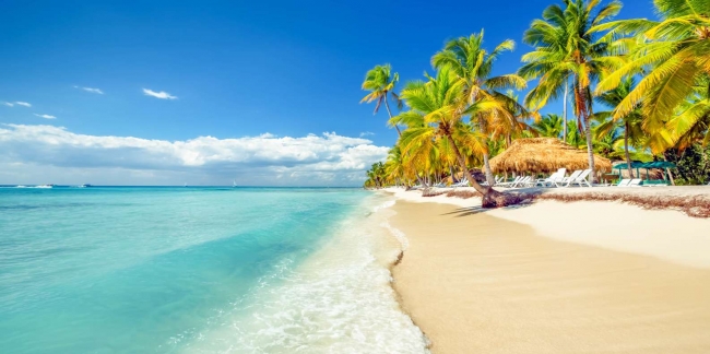 DOMINICANA ENTRE AMIGOS