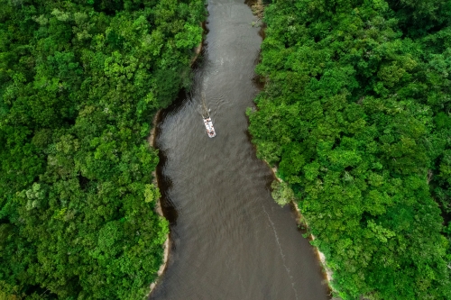  Excelencia y aventura en un crucero por el Amazonas