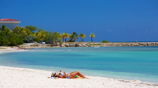 CRUCERO ROYAL CARIBBEAN - SIN VISA!
