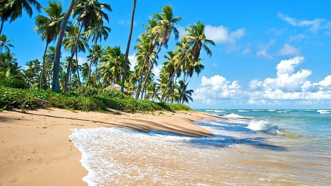 PRAIA DO FORTE 2025
