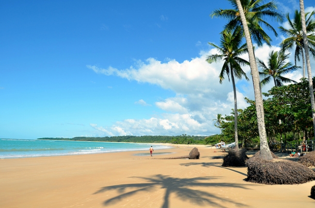 SALVADOR DE BAH�A MAYO