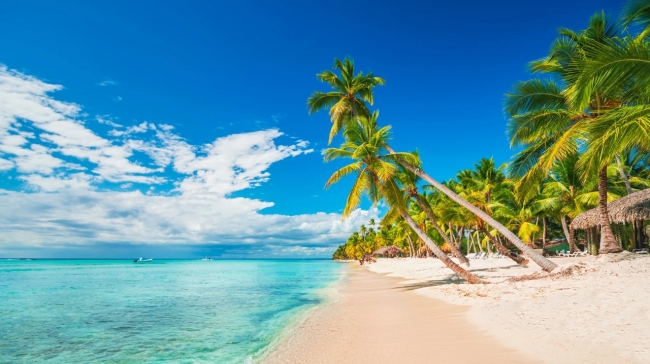 PUNTA CANA 2025