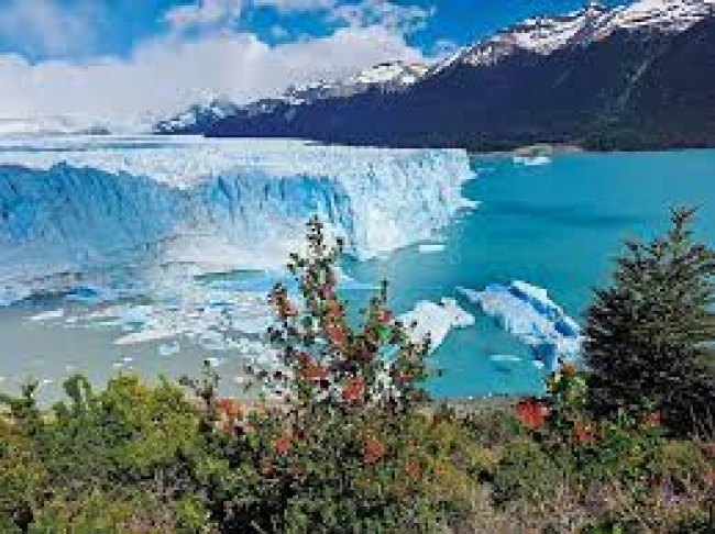 CALAFATE EN VACACIONES DE INVIERNO