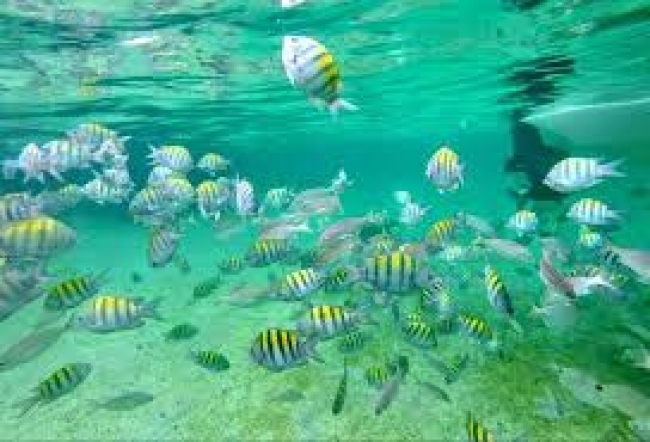 ANGRA DOS REIS 5 *****