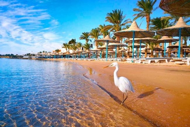 EGIPTO Y PLAYAS CON ESTILO