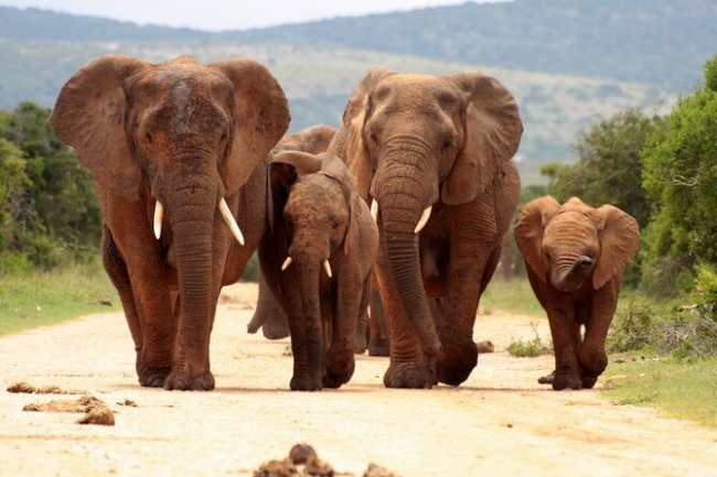 SUDFRICA DIVERSA Y FASCINANTE