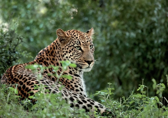 SUDFRICA DIVERSA Y FASCINANTE