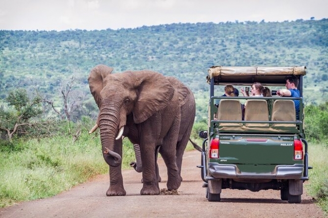 SUDFRICA DIVERSA Y FASCINANTE