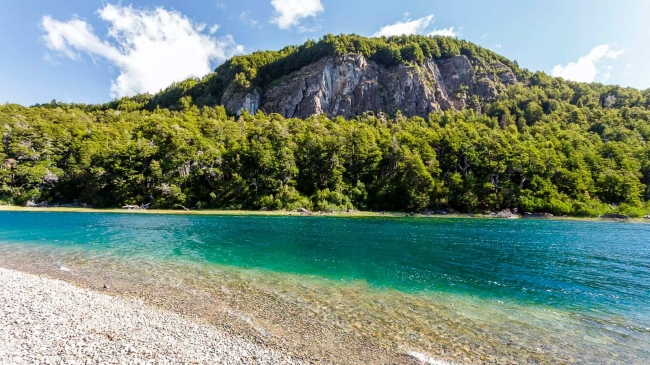 PATAGONIA AUSTRAL CON TULIPANES