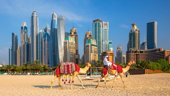JAPN Y DUBAI