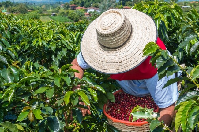 SABORES DE COLOMBIA: MAR Y CARIBE 