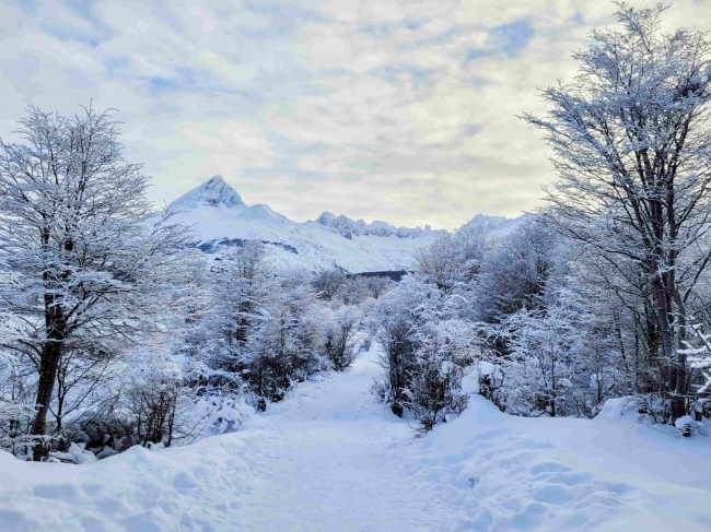 USHUAIA VACACIONES DE INVIERNO