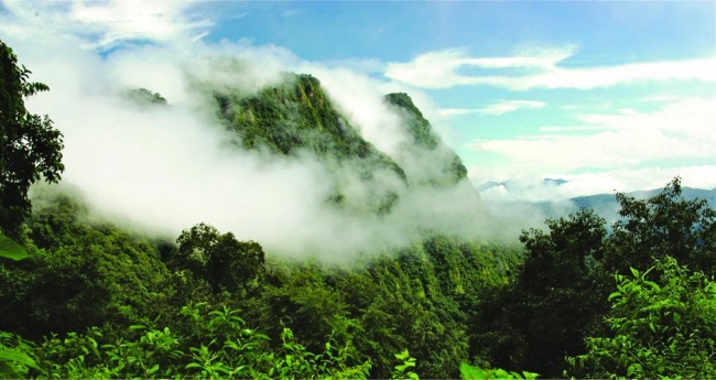 POSTALES JUJE�AS