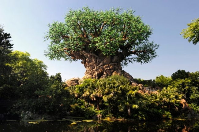 🔥HOT SALE: PAQUETE A DISNEY - JUNIO 2026