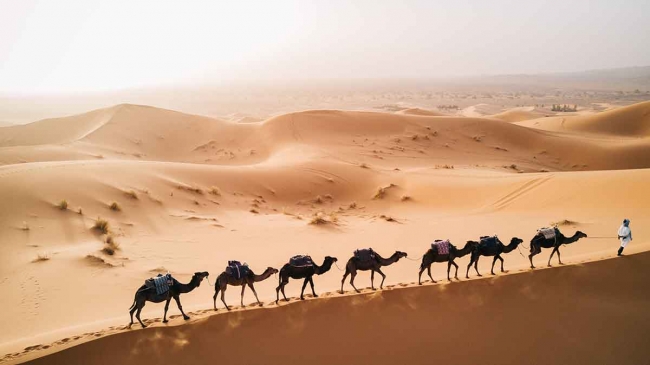JUNTAS A MARRUECOS - EL GRAN DESIERTO