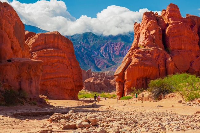 SALTA: EXPERIENCIA TREN DEL VINO